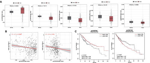 Figure 4 Methylation of CKS2 in HCC. (A) Expression of CKS2 gene methylation at different CpG sites in normal and tumor tissues. (B) Correlation between CKS2 expression and methylation levels at different CpG sites. (C) Prognostic values of cg14307853 and cg13651859 in CKS2 in HCC (The “high” and “low” groups of methylation sites were obtained from the cut-off values of 50% of the methylation levels of methylation sites in the CKS2 of HCC patients. The survival module in the SMART web for analyzing DNA methylation in the TCGA database is used to analyze their correlation with patient survival).