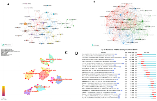 Figure 7 Mapping of documents and references in studies on PGPP (A) Network visualization of citation analysis for documents with more than 50 citations (B) Network visualization of co-citation analysis for references with more than 30 citations (C) Clustering analysis conducted on the co-citation network utilizing CiteSpace (D) Identification of the top 25 references exhibiting the most pronounced citation bursts with reference to CiteSpace.
