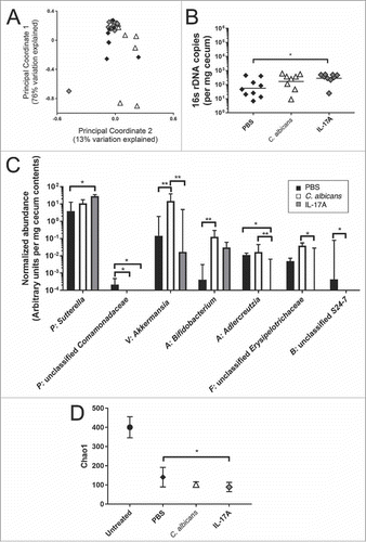 Figure 4. Bacterial microbiota of Cd-challenged mice with or without C. albicans pre-colonization or IL-17A treatment. Cecal bacterial microbiota composition from mice euthanized on day 2 post-C. difficile challenge was analyzed by Illumina sequencing of the V4 region of bacterial 16S rRNA gene. Relative abundance of bacterial taxa was determined using QIIME. (A) Results were analyzed by determining weighted UniFrac distances and performing Principal Coordinate Analysis using QIIME. Black Diamond, PBS-treated, Cd-challenged mice without C. albicans; white triangle, PBS-treated, Cd-challenged mice pre-colonized with C. albicans; grey diamond, IL-17A-treated, Cd-challenged mice without C. albicans. (B) Total levels of bacteria per cecal tip sample were measured by qPCR using eubacterial primers and normalized to milligrams of cecum sample used for DNA extraction. Symbols, as in (A); bar indicates the geometric mean. (C) Normalized abundance per mg of cecum sample (arbitrary units) for bacterial genera in the cecal microbiota of mice treated with PBS and C. difficile (black bars; n = 9); with PBS, C. albicans and C. difficile (white bars; n = 8); or with IL-17A and C. difficile (grey bars; n = 9). All genera with a statistically significant difference between at least two groups are shown. Phyla are indicated with a one letter abbreviation as follows: P = Proteobacteria, V = Verrucomicrobia, A = Actinobacteria, F = Firmicutes, B = Bacteroidetes. Column indicates the median value, bar indicates the upper quartile, brackets indicate statistically significant comparisons (*p<0.05 **p<0.01, Kruskal Wallis Test followed by Dunn's multiple comparisons test) D) Chao1 rarefaction analysis indicates that gut microbial community diversity for C. difficile-inoculated mice is low. Diversity of each sample was calculated by averaging 10 rarefactions taken at a depth of 11,500 sequences. For comparison, community diversity in untreated mice (no antibiotics and not inoculated with C. albicans or C. difficile) is shown (Grey circle). Black diamond, PBS and C. difficile; open triangle, PBS, C. albicans and C. difficile; grey diamond, IL-17A and C. difficile. Symbol indicates mean for mice in each group, with standard error of the mean.