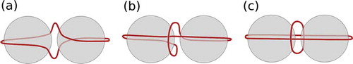 Figure 1. (Colour online) Schematic of two nanoparticles (grey) in nematic host (not shown) entangled by a disclination line (dark red) forming the (a) figure of eight , (b) the figure of omega and (c) the figure of theta .