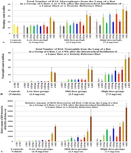 Figure 3. Rats were intratracheally instilled with lunar dusts (LD), TiO2, and quartz (SiO2) at 0 (control), 1, 2.5, or 7.5 mg/rat. The lungs were lavaged 1 or 4 weeks after the dust instillation. Numbers of alveolar macrophages (A) and neutrophils (B) were determined. ROS of total BAL cells was assessed by chemiluminescence (C). X-axis labels: jet-milled LD: LD-jm (green); unground LD: LD-ug (blue); ball-milled LD: LD-bm (red); bars of lighter color-shades represent 1 week; bars of darker color-shades represent 4 weeks. Each bar is the mean ± SD from six rats.