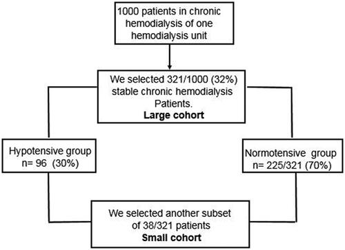 Figure 1. Flow chart of the 321/1000 patients selected from our patients in the chronic hemodialysis program.