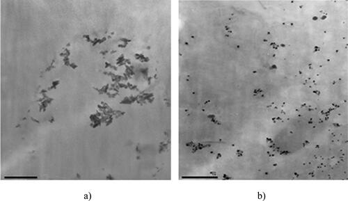 Figure 3. TEM image for the obtained silver colloids in sample E1(a) (5000× magnification) and sample E2 (b) (16,000× magnification).