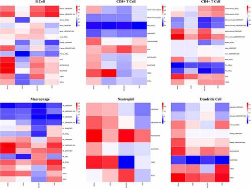 Figure 7. Correlations between biomarker expression and tumor infiltration with different calculation methods