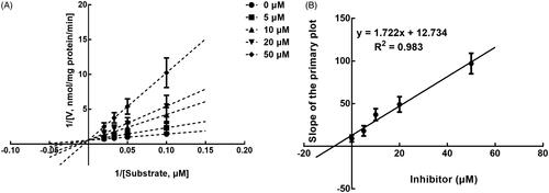 Figure 5. Lineweaver-Burk plots (A) and the secondary plot for Ki (B) of inhibition of succinic acid on CYP2D6 catalysed reactions (dextromethorphan O-demethylation) in pooled HLM. Data are obtained from a 30 min incubation with dextromethorphan (10–50 μM) in the absence or presence of succinic acid (0–50 μM). All data represent the mean of the incubations (performed in triplicate).