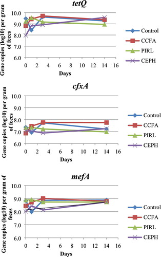 Figure 1. Gene copies (log10) of tetQ, cfxA and mefA per gram of faeces from CCFA (ceftiofur crystalline free acid sterile suspension), PIRL (pirlimycin hydrochloride) and CEPH (cephapirin benzathine) treatment.