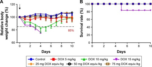 Figure 7 MTD study of DOX and DOX-DCA NPs. (A) Relative body weight change and (B) overall survival of tumor-free C57/BL6 mice that received various drug formulations. The evaluated formulations were set as free DOX 5 mg/kg, 10 mg/kg and 15 mg/kg or DOX-DCA NPs with the equiv. DOX dosage of 25 mg/kg, 50 mg/kg and 75 mg/kg, respectively. Data are presented as the mean ± SD (n = 6).Abbreviations: MTD, maximum tolerated dose; DOX, doxorubicin; DCA, dichloroacetate; NPs, nanoparticles.