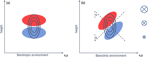 Fig. 2. (a) Shows a sketch of the vertical PV dipole caused by heating for a barotropic environment. (b) Indicates the tilt of the dipole caused by the horizontal gradient of the vertical velocity and by the vertical change of the horizontal velocity. The red region indicates the positive pole and the blue region shows the positive pole. The figures are adapted from Chagnon and Gray (Citation2009).