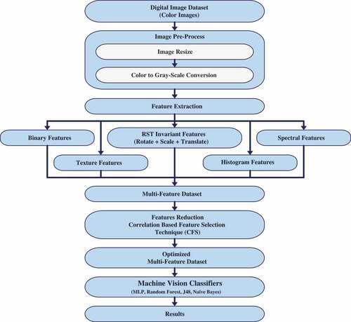 Figure 4. Multi-feature data fusion framework for leaf-based citrus varieties classification