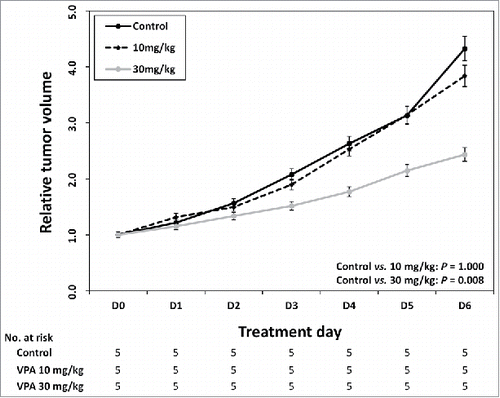 Figure 4. Identification of maximum VPA dose without cytotoxicity in vivo. After every 7 day of VPA application, control group and 10 mg/kg/day group were not different in the tumor volume change (P = 0.100). The tumor volume was significantly reduced in 30mg/kg/day VPA application group compared with control group (P = 0.008).