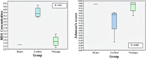 Figure 3 MDA concentration between groups.