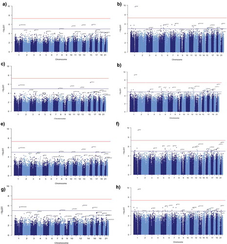 Figure 5. Manhattan plots showing the results of epigenome-wide association studies (EWAS) of MetS. The model included (a) age (c) poverty status (e) sex (g) age, poverty status and sex as covariates for AA (b) age (d) poverty status (f) sex (h) age, poverty status and sex as covariates for Whites. The bottom (blue) line indicates the FDR-adjusted p-value threshold −log10(1e-5) and the top (red) line indicates the Bonferroni threshold for genome-wide significance threshold −log10(5e-8).