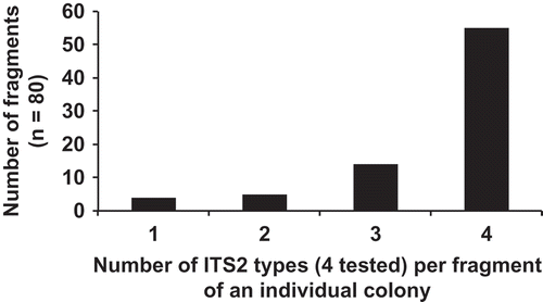 Fig. 22. Histogram of the number of ITS2 types per colony fragment (N = 80) as dissected from eight individual colonies. The presence of an ITS2 genetic group was determined by positive amplification using the ‘species-specific’ ITS2 primers (Table 1).