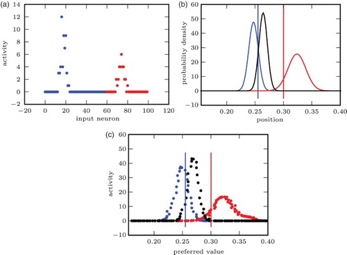 Figure 8. The network generates a population code close to a synthetic PDF without prior knowledge of the input statistics: (a) incongruent input. First 60 (blue): visual input. Last 40 (red): auditory input. (b) Synthetic PDF. Right bump (red): PDF for aud. only input. Left bump (blue): PDF for vis. only input. Middle bump (black): PDF for full input. Vertical lines: ground truth (vis./aud.). (c) Network output. Right bump (red): Given aud. only input. Left bump (blue): Given vis. only input. Middle bump (black): Given full input. Vertical lines: ground truth (vis./aud.).