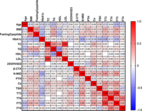 Figure 6 The heatmap depicts the correlational relationships in analyzed variables of three groups. We found that β-CTX (r=0.38, p<0.05), TT3 (r=0.40, p<0.05), and FT3 (r=0.38, p<0.05) were positively (displayed in red color) correlated with N-MID, while HbA1c (r=−0.32, p<0.05) was negatively (shown in blue color) correlated with N-MID. The gradient in red represents the degree of positive correlation, while the gradient in blue represents the degree of negative correlation, as shown by the color bar on the right side of the map.