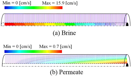 Figure 2. Velocity fields in brine and permeate phases.