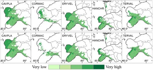 Figure 6. Species future (time horizon 2050) distribution combined with adaptive capacity analysis.  Above: Future distribution with RCP 2.6. Below: Future distribution with RCP 8.5. Cavanillesia platanifolia (CAVPLA), Cordia macrantha (CORMAC), Erythrina velutina (ERYVEL), Handroanthus chrysanthus (HANCHR), Terminalia valverdeae (TERVAL).