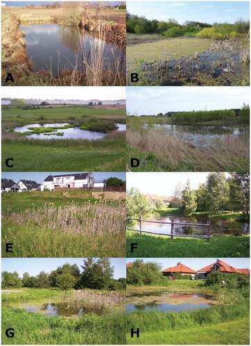 Figure 2. Study area – examples of the small water reservoirs that were the object of research.