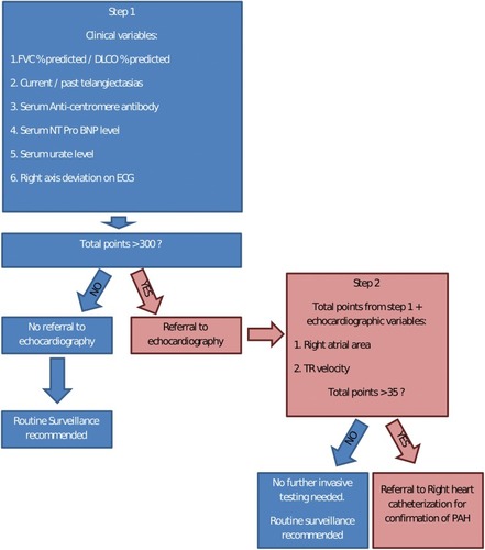 Figure 1 The DETECT algorithm to screen for pulmonary arterial hypertension in the systemic sclerosis patient.