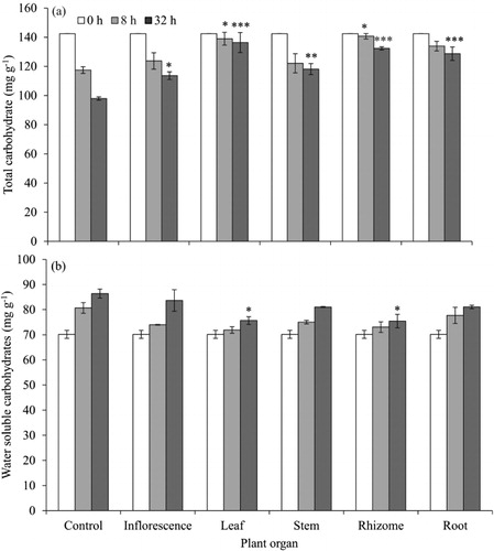 Figure 2. Effect of aqueous extracts (5%) of different organs of P. australis on (a) total carbohydrates (mg g−1) and (b) water soluble carbohydrates (mg g−1) of lettuce seeds at 0, 8 and 32 h imbibition. Values are mean±standard error (n=3). ***, ** and * indicate significant differences from control at P ≤ 0.001, P ≤ 0.01 and P ≤ 0.05 respectively after Dunnett's test.