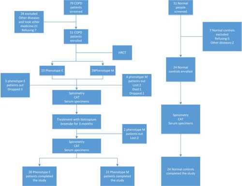 Figure 1 Flowchart for the recruited patients.