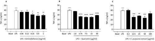 Figure 7. Effect of the whole formulation AminoDefence, quercetin, and E. purpurea extract on TNF-α release by LPS-stimulated macrophages. RAW264.7 cells were incubated for 24 h at 37 °C with Lipopolysaccharides (LPS) [1 µg/ml] and increasing concentrations of the formulation AminoDefence (A), quercetin (B) or E. purpurea extract (C). TNF-α release in the culture media was quantified through immunoenzymatic assay (ELISA). Experiments were performed in triplicate and data are expressed as mean ± SD. Statistical analyses were performed using the one-way ANOVA coupled with Dunnett’s multiple comparison test. A value of p < 0.05 was considered statistically significant. *p < 0.05; **p < 0.01; ***p < 0.001; ****p < 0.0001 vs LPS-treated macrophages; °°°°p < 0.0001 vs macrophages in basal conditions.