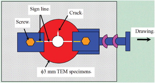 Fig. 1. Schematic illustration of the micro-strain holder.