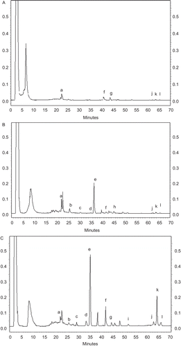 Figure 4.  Representative chromatographic fingerprints of Solanum nigrum. (A) Group A; (B) Group B; and (C) Group C [column: Phenomenex C18 column (5 µm, 250 × 4.6 mm); detector: ELSD].