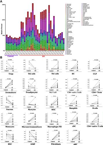 Figure 2 (A) xCell model of DN, kidney tissue data of GSE142025 was based on 64 immunocyte phenotypes to verify the expression of immune cells after DN; (B) Expression of many immune cells after DN.