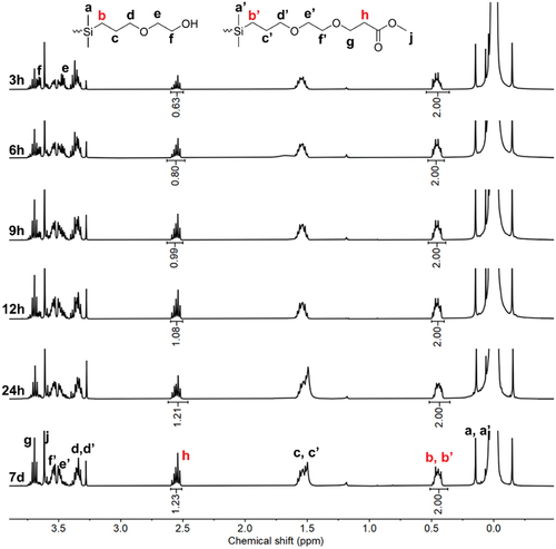 Figure 1. [Citation1] H NMR spectra of P1T4 at different reaction times of 3 h, 6 h, 9 h, 12 h, 24 h, and 7 days.