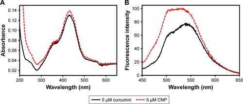 Figure S4 (A) Absorption and (B) fluorescence spectra of curcumin and CNP.Abbreviations: CNP, curcumin-encapsulated chitosan/TPP nanoparticles; TPP, tripolyphosphate.