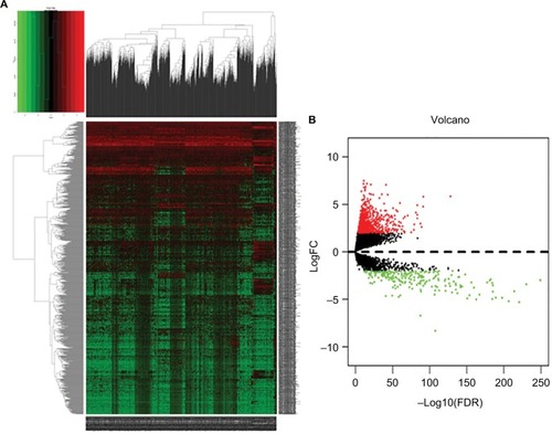 Figure 2 The differentially expressed lncRNAs of invasive breast cancer.Notes: (A) Heat maps of breast cancer-related differentially expressed lncRNAs. The color from green to red shows a trend from low expression to high expression. (B) Volcano diagrams of breast cancer-related differentially expressed lncRNAs. The red dot represents upregulated lncRNA, and the green dot represents downregulated lncRNA.