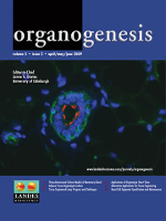 Cover image for Organogenesis, Volume 5, Issue 2, 2009