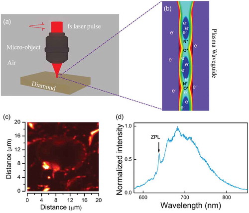 Figure 5. (a) Fs laser was focused on the diamond sample surface. (b) Schematic drawing of plasma waveguide approximated according to Ref [Citation74]. (c) Fluorescence scanning images of three spots after 1/125 s fs pulse laser illumination and 15-minute oxidation. (d) Typical fluorescence spectrum of the illuminated spots, showing clearly zero-phonon line at 637 nm