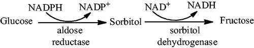 Figure 1. The polyol pathway of glucose metabolism.