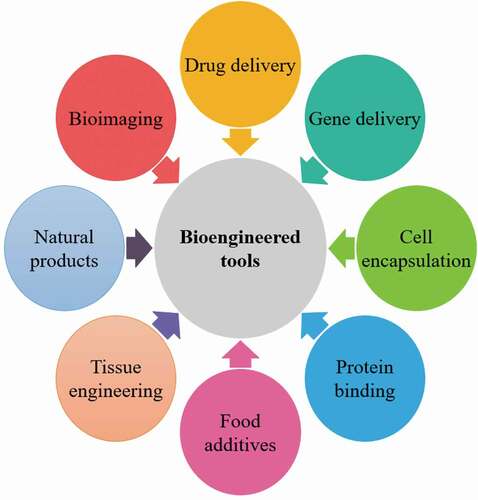 Figure 1. Diverse approaches of the bioengineered tools for the pharmaceutical’s development.