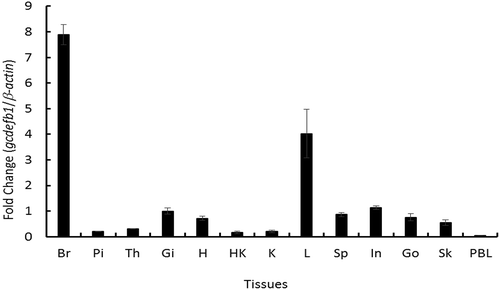 Figure 2. Tissue distribution of gcdefb1 transcripts in grass carp.Total RNA was extracted from tissues of 5 fish (N = 5) including brain (Br), pituitary (Pi), thymus (Th), gill (Gi), heart (H), head kidney (HK), kidney (K), liver (L), spleen (Sp), intestine (In), gonad (Go), Skin (Sk), and PBLs. The levels of gcdefb1 transcripts were measured by qPCR. The relative levels of gcdefb1 were normalized by β-actin level in the same sample and were presented as the fold changes of that in gill.