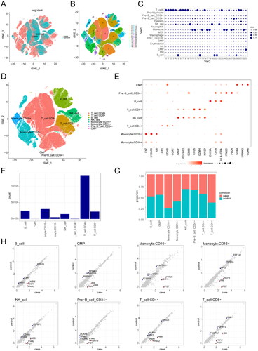 Figure 1. Single-cell RNA sequencing reveals the composition and transcriptional characteristics of peripheral blood mononuclear cells (PBMCs) in childhood-onset systemic lupus erythematosus (cSLE) patients. (A-B) Two-dimensional projection of the sample distribution (A) and identification of 34 subclusters (B) across a total of 234,238 PBMCs from 44 individuals, including 33 cSLE patients (case) and 11 healthy donors (control). (C) t-SNE analysis identifies eight distinct PBMC subsets, including B cells, monocytes (CD16-), monocytes (CD16+), natural killer (NK) cells, CD4+ T cells, CD8+ T cells, pre-B cells (CD34-), and common myeloid progenitor (CMP). (D) Annotation of the eight clusters identified in C. The dot plot shows the expression values of selected genes (x-axis) across each cluster (y-axis). dot size represents the percentage of cells expressing the marker gene, and colour intensity indicates the mean expression within expressing cells. (E-F) Bar plots illustrating the abundance of cells within each of the eight clusters (B cells: 25,451 cells, monocytes (CD16-): 30,413 cells, monocytes (CD16+): 5,215 cells, NK cells: 14,810 cells, CD4+ T cells: 134,874 cells, CD8+ T cells: 22,632 cells, pre-B cells (CD34-): 673 cells, CMP: 170 cells). (G) Differential expression analysis highlights the differentially expressed genes (DEGs) across the eight clusters.