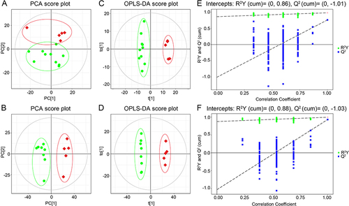 Figure 4 The multivariate analysis of lipidomics in plasma and testis between LPS group and control group. Each sample represents one experiment replicate. (A) PCA score plot (plasma), (B) PCA score plot (testis), (C) OPLS-DA (plasma), (D) OPLS-DA (testis), (E) Permutation (plasma), (F) Permutation (testis) There were no anomalies or outliers in the data used for detection (A-B). The separation tendency between LPS (n=5) and control (n=10) groups was evident, showing that the lipid concentration and composition were significantly different between the two groups of samples and that LPS had a obvious modulation of lipids in plasma and testis (C-D). The validity of the model was further verified by permutation test (E-F) Green circles indicate control samples and red diamonds indicate LPS samples in score plots.