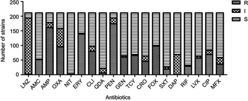 Figure 4 Antimicrobial characteristics of 211 Staphylococcus aureus in terms of 19 antibiotics.Abbreviations: AMC, amoxicillin; AMP, ampicillin; CIP, ciprofloxacin; CLI, clindamycin; CRO, ceftriaxone; DAP, daptomycin; ERY, erythromycin; FOX, cefoxitin; GEN, gentamicin; I, intermediate; LNZ, linezolid; LVX, levofloxacin; MXF, moxifloxacin; NIT, nitrofurantoin; OXA, oxacillin; PEN, penicillin; QDA; quinupristin-dalfopristin; R, resistant; RIF, rifampin; S, susceptible; SXT, sulfamethoxazole–trimethoprim; TCY, tetracycline.