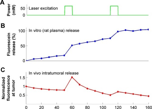 Figure 9 Profile of triggered liposome release under consecutive pulsatile excitation.Notes: (A) Laser excitation durations. (B) Consecutive release in vitro (rat plasma). (C) Consecutive release in vivo (mice xenograft).