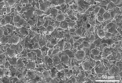 Figure 2 Representative SEM image of the USP-Ti surface.Abbreviations: SEM, scanning electron microscope; Ti, titanium; USP-Ti, Ti surface subjected to USP; USP, ultrasonic shot peening.