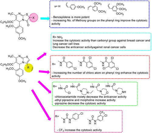 Figure 4. SAR study for the designed thiazolopyrimidines.