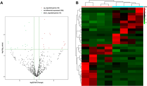 Figure 3 MiRNA sequencing of serum exosomes. (A) The volcano plots displayed identified miRNAs in the effective and ineffective groups. (B) The heat map showed the cluster analysis of differentially expressed miRNAs (P<0.05).