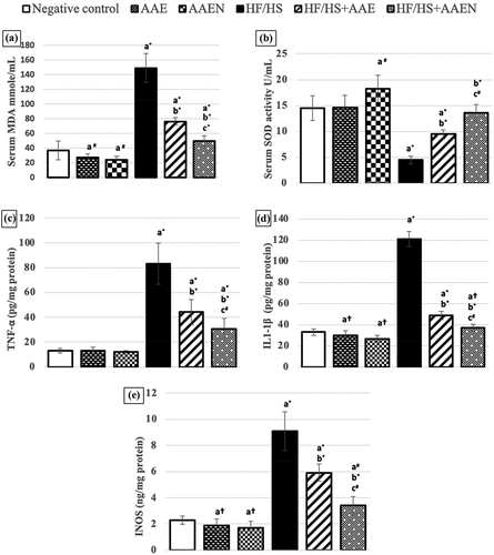 Figure 13. Effects of Artemisia extract and Artemisia extract nanoparticles on oxidative stress parameters (A) serum MDA and (B) serum SOD activity, and inflammatory markers in epididymal fat (C) TNF- α, (D) IL- 1β and (E) iNOS in rats fed on a basal diet or HF/HS diet. Data are displayed as the mean ± SD. The letters a, b, and c represent significant differences from the negative control, positive control, and HF/HS + AAE groups, respectively. †, #, and * demonstrate statistical significance at p < 0.05, p < 0.01, and p < 0.001, respectively, using one-way ANOVA followed by the Post hoc test.