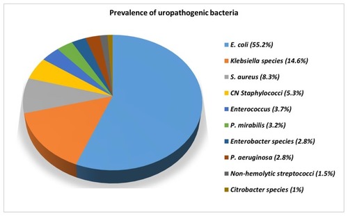Figure 1 Frequency of uropathogenic bacteria among pregnant women in developing countries in Africa and Asia from 2005 to 2016.