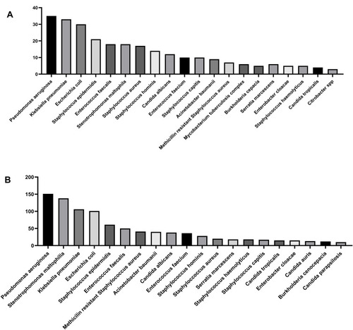 Figure 3 The top 20 microorganisms identified from first positive cultures and across duration of hospitalization. (A) Microorganisms identified from the first positive cultures obtained; (B) Microorganisms identified from all positive cultures obtained during hospitalization.
