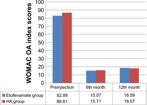 Figure 4 The mean preinjection and 6- and 12-month follow-up WOMAC scores.