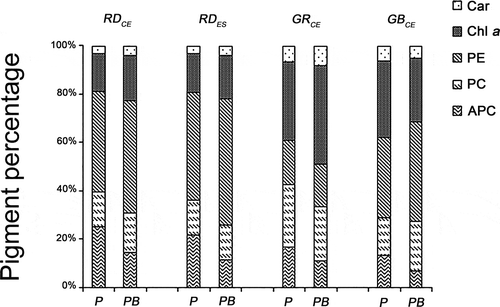 Fig. 9. Percentage of photosynthetic pigments present in four strains of G. birdiae. Data were obtained from algae cultivated in different conditions: photosynthetically active radiation, PAR (control), P; and PAR+UV-B (0.08 W m–2), PB. Car, carotenoids; Chl a, chlorophyll a; APC, allophycocyanin; PC, phycocyanin; PE, phycoerythrin.