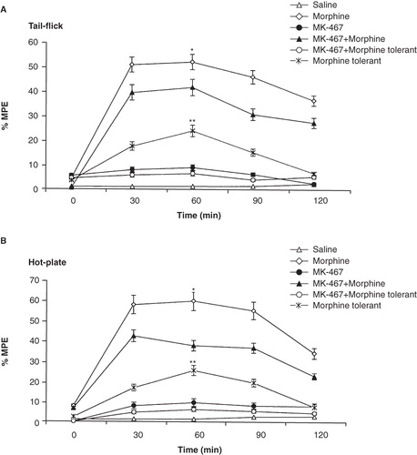 Figure 3. Effects of MK-467 (0.25 mg/kg; i.p.) on morphine analgesia and tolerance in tail-flick (A) and hot-plate (B) tests. Each point represents the mean ± SEM of percent of maximal possible effect (% MPE) for 7 rats. *p < 0.05 compared to MK-467 + morphine group, **p < 0.01 compared to MK-467 + morphine-tolerant group.